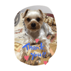 Sally_20191109214938