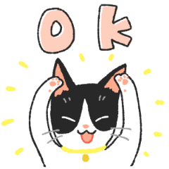 Black & white cat greeting