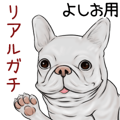 Yoshio Real Gachi Pug & Bulldog