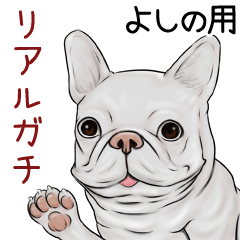 Yoshino Real Gachi Pug & Bulldog