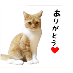 miko_20191110011756
