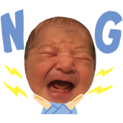 tai.sei.sachi