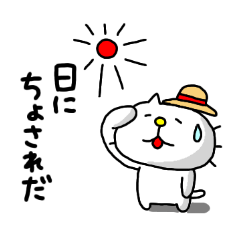 Michinoku Cat 11