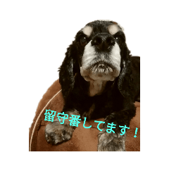 TONO_20191109160833