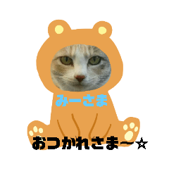 akiko_20191109144308