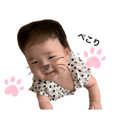 kinaco_20191110010645