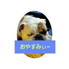 charlie_20191110114028