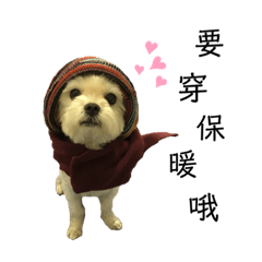 來自屏東的瑪爾濟斯底迪