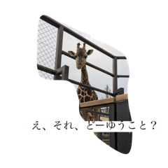 Mako_20191110122127