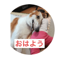 shuu_20191110123122