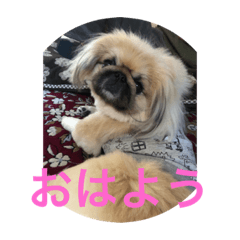 Maron_20191110124712