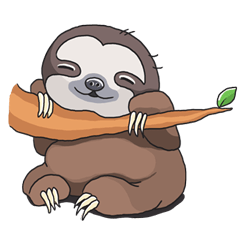 Sloth_Play with Fox a while
