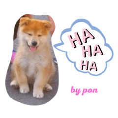 PON_20191110123825