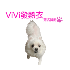 ViVi發熱衣