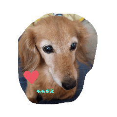 KAZUMI_20191110132552