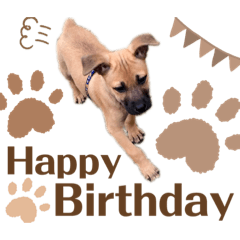 生日快樂♡♡♡