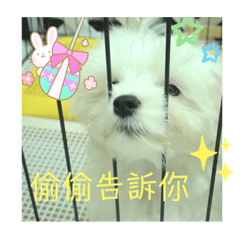 開心的不得了