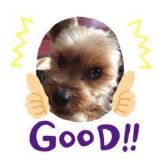 Sally_20191110163815