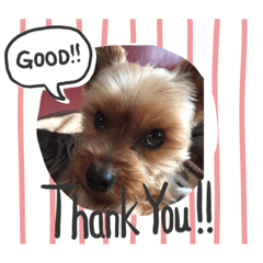 Sally_20191110164832