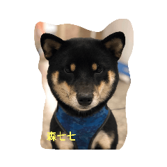 隻三犬