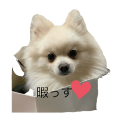 yuuki_20191110180708