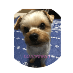 Sally_20191110164256