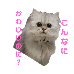 omayu_20191110191303