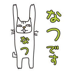 Only for Mr. Natsu Banzai Cat