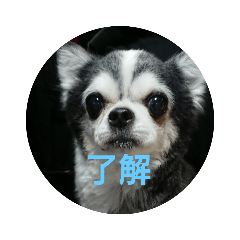 nobo_20191110212342