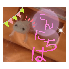 moka_20191110222045