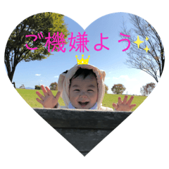 panda_20191110232900