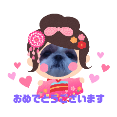 Hiromi_20191110232912