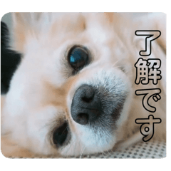 ERIKA_20191111084954