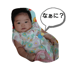 kota_20191111105629