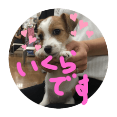 matsu_20191111120410