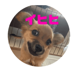 hide_20191110210445