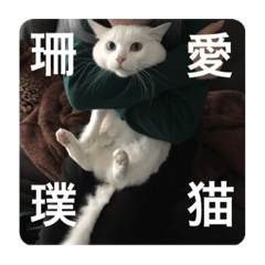 kyon_20191110224538