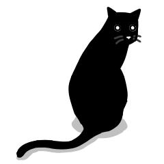 Jipu is a black cat
