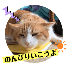 miyuki_20191111133124