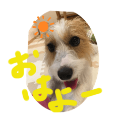 matsu_20191111145556