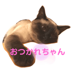 hana_20191111145949