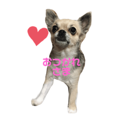 HANA_2019111110409