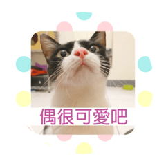 偶是OREO陳小歐啦！