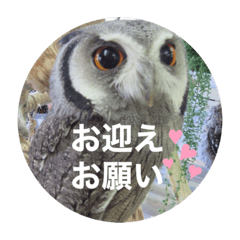 JUN_20191111205239