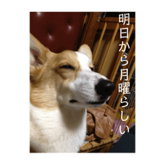 sawapon_20191111205710
