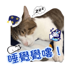 Daily life of kiki. Part V – LINE stickers | LINE STORE