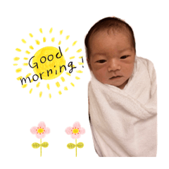 Syuto_20191111183237
