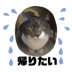 jack_20191111184034