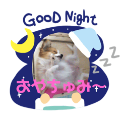 yukari_20191111191238