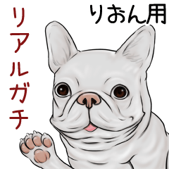 Rion Real Gachi Pug & Bulldog